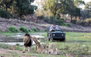 MalaMalaPGR [320x200]